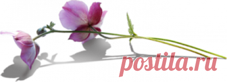 мудрые мысли - Самое интересное в блогах