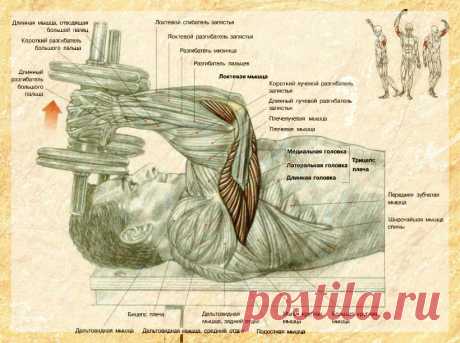 Фотографии Бакши Петимер - 513 фото в Моем Мире.