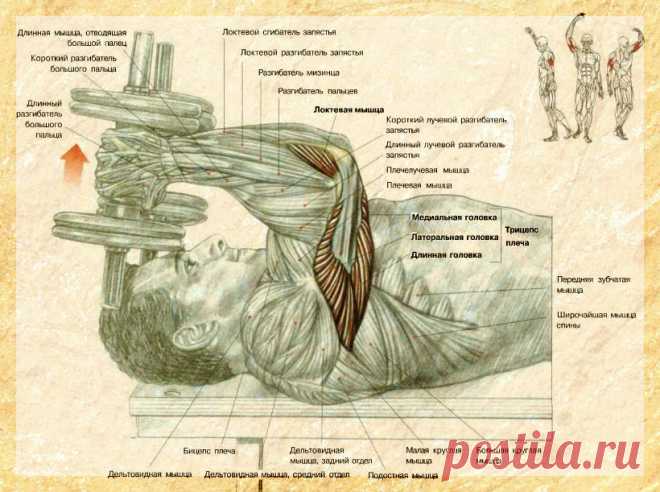Фотографии Бакши Петимер - 513 фото в Моем Мире.