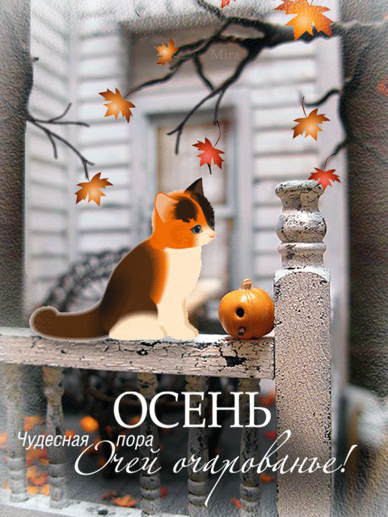 animation, gif animated, gif анимация, illustranion, mira, анимации, анимация, блеск, гифка, картина, кот, листопад, мои анимации, надписи, открытки, текст штамп, футажи