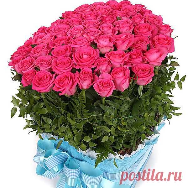 РОЗЫ - ОБОЖАЮ!!!