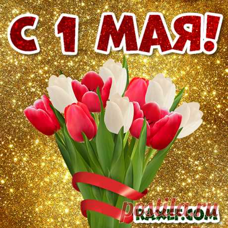 Открытки с 1 мая! День солидарности трудящихся! Картинки с 1 мая! Привет, дорогие друзья! Вот и праздник на дворе... Страница 2