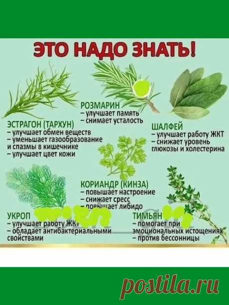 Изображение пина-истории