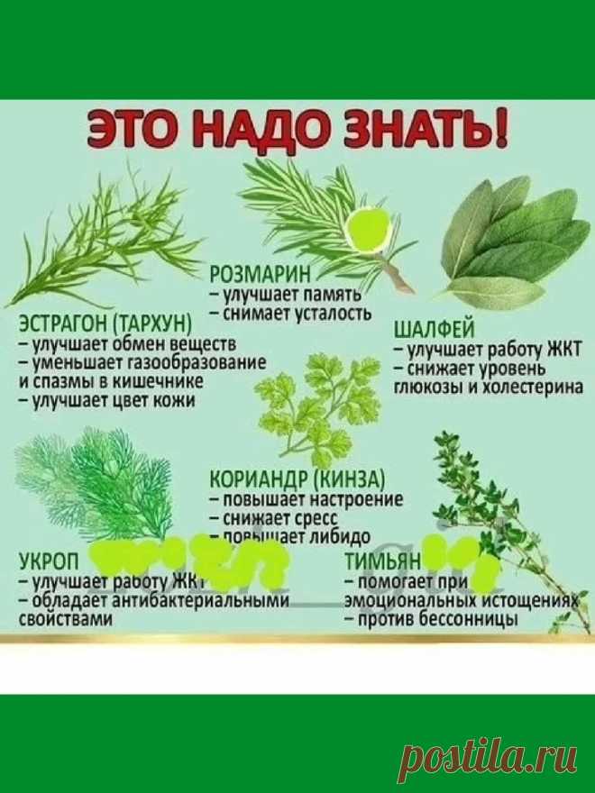 Изображение пина-истории