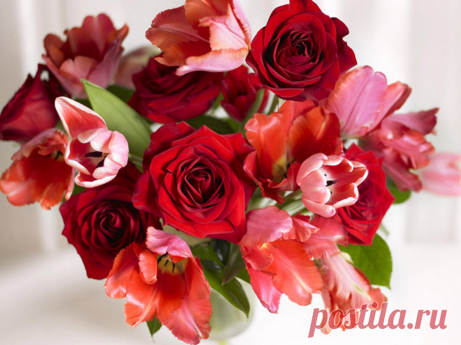 7850e8779938446bc68f5-1024.jpg (1024×768)