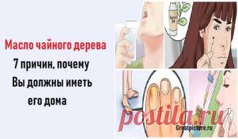 Масло чайного дерева. Масло чайного дерева.7 причин, почему Вы должны иметь его дома.Вы знали об этом?Масло чайного дерева используется тысячелетиями как антибактериальное, противогрибковое и антисептическое средство для лечения ран и ускоряет время заживления...