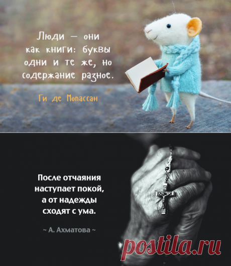 Мысли, над которыми хочется задуматься