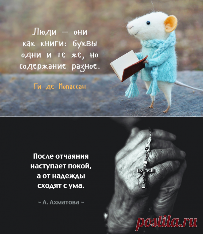 Мысли, над которыми хочется задуматься