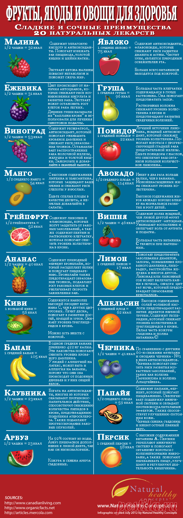 Почему ягоды и фрукты полезны для вашего здоровья - Лайфхакер