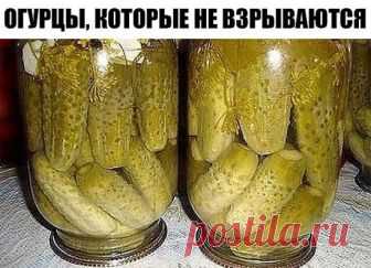 Как я консервирую огурцы, которые никогда не взрываются!