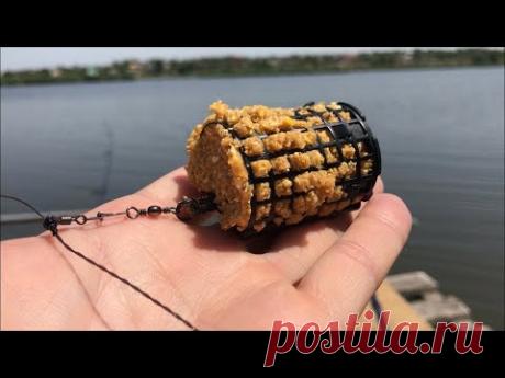 Рыбалка на донку | рыбалка на карася 2020 | ловля карася на снасть инлайн | рыбалка для начинающих (видео о рыбалке №5185)