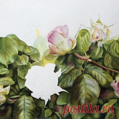 A bit more progress on this #rose #painting .
#workinprogress #blumen #rosepainting #happysaturday #leaves#bestoftheday #artoftheday #handpainted by #me#watercolor #watercolour #flowers#floral#instagood #fineart#instaart#artwork #artgallery
.
#watercolorflowers#nature #nature_perfection#flowerpainting #floralpainting #flowerpower #pinkroses