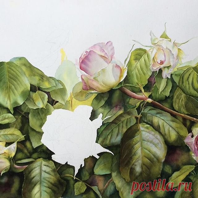 A bit more progress on this #rose #painting .
#workinprogress #blumen #rosepainting #happysaturday #leaves#bestoftheday #artoftheday #handpainted by #me#watercolor #watercolour #flowers#floral#instagood #fineart#instaart#artwork #artgallery
.
#watercolorflowers#nature #nature_perfection#flowerpainting #floralpainting #flowerpower #pinkroses
