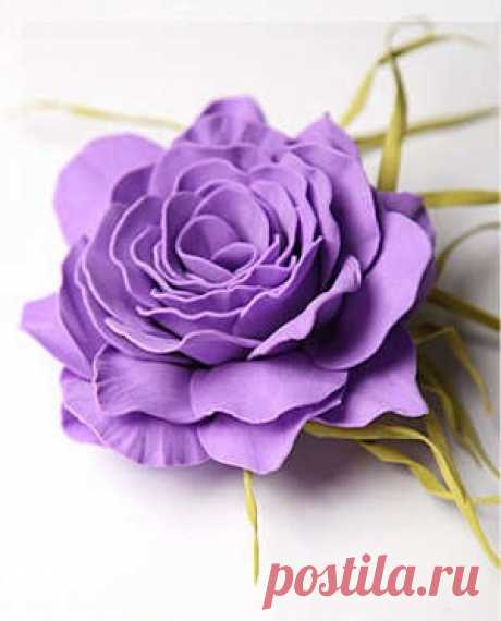 Leksjon for produksjon av blomster Foamirana (foto og video guide) - You best Lady