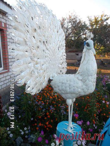 Вторая жизнь пластиковой бутылки
Тамара Курілова(Михайлик)