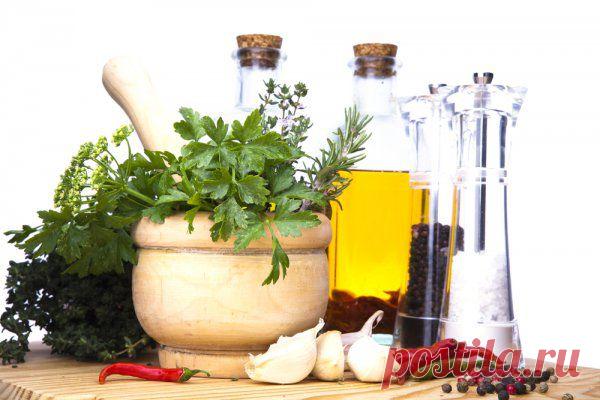 Весеннее меню: Добавляем в блюда свежую зелень - Кулинарные советы для любителей готовить вкусно - Хозяйке на заметку - Кулинария - IVONA - bigmir)net - IVONA