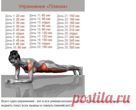 Всего одно упражнение