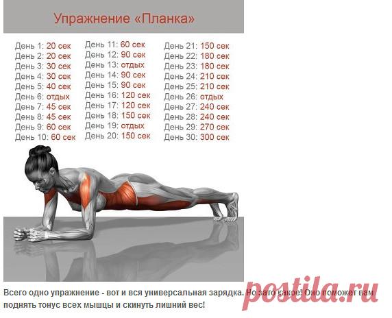 Всего одно упражнение