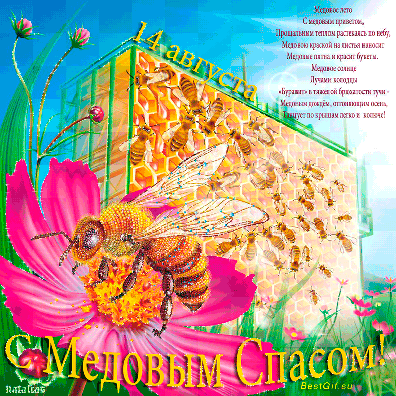 Профиль пользователя Анна