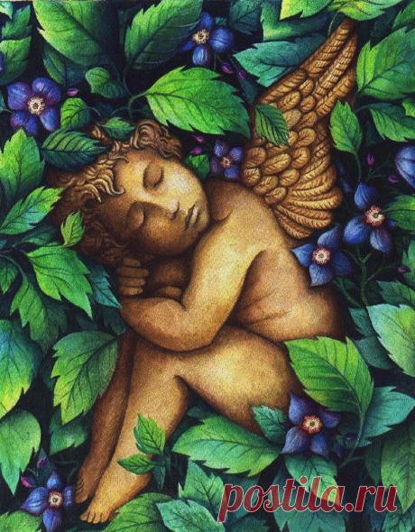 (6) Одноклассники