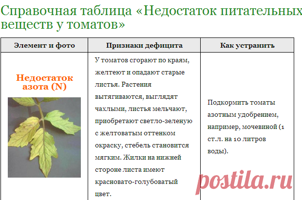 Недостаток элементов питания у томатов: справочная таблица