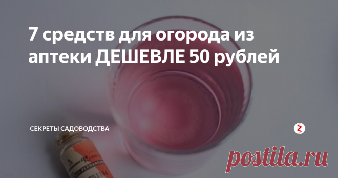7 средств для огорода из аптеки ДЕШЕВЛЕ 50 рублей Хотите преобразить свою дачу или огород, не используя дорогостоящие препараты? В статье я расскажу о 5 «народных средствах» для культурных растений на все случаи садовой жизни! Все они доступны: продаются в каждой аптеке, имеют доказанную результативность и стоят меньше 50 рублей. Цены приведены по Санкт-Петербургу.
1. Перекись водорода (13,60 р.)
Уверена, перекись есть в любом доме!
Перекись водо