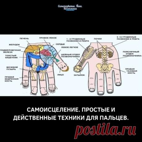 Самоисцеление. Простые и действенные техники для пальцев.

Тайная сила мизинца

Одним лишь воздействием на мизинец левой руки можно существенно поправить здоровье. Это знали древнейшие врачеватели. Их практика частично подвергнута сомнению, частично предана забвению. К сожалению! Ведь действительно методика любопытная, а главное, оправдавшая себя во многих случаях.
Показать полностью…