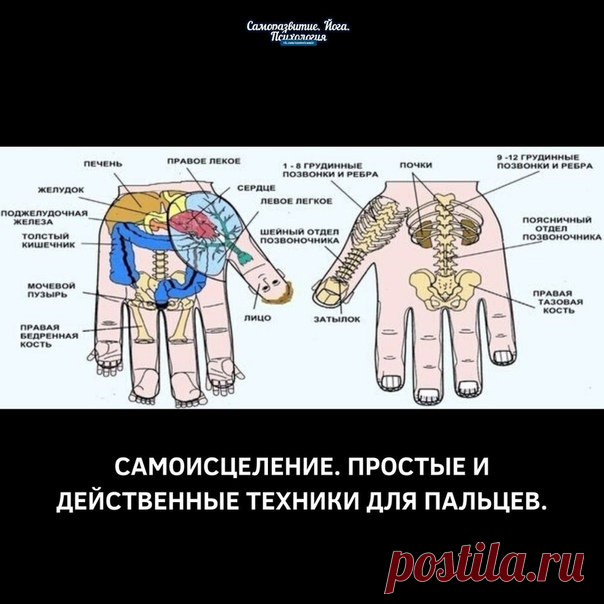 Самоисцеление. Простые и действенные техники для пальцев.

Тайная сила мизинца

Одним лишь воздействием на мизинец левой руки можно существенно поправить здоровье. Это знали древнейшие врачеватели. Их практика частично подвергнута сомнению, частично предана забвению. К сожалению! Ведь действительно методика любопытная, а главное, оправдавшая себя во многих случаях.
Показать полностью…