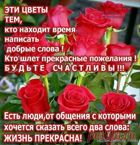 Владимир Барышев