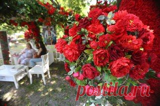 Светлана Болотова