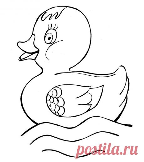 Картинка раскраска утенок