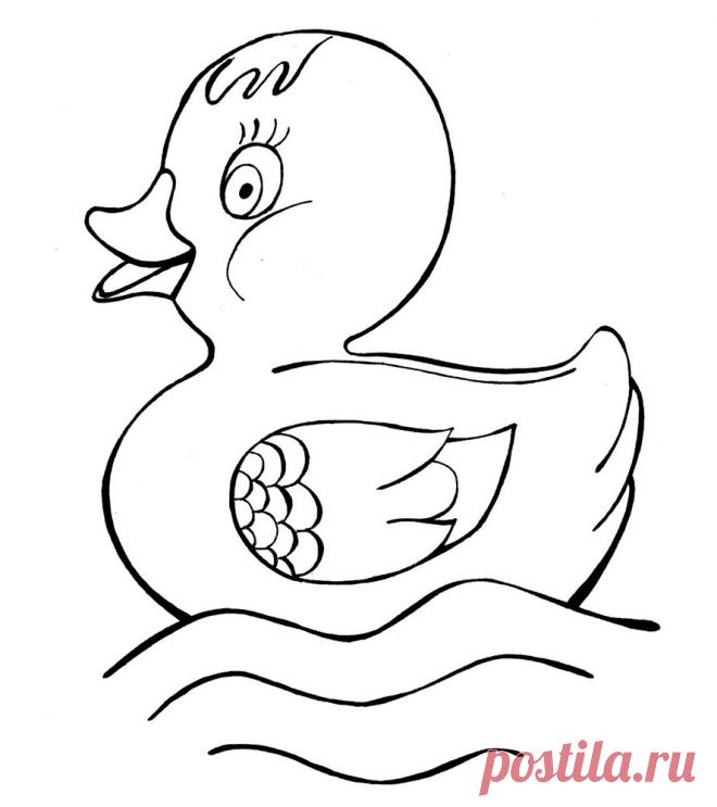 Картинка раскраска утенок