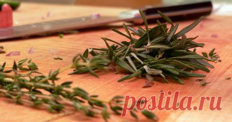 Древнее средство продления молодости снова в ходу: этот чай творит чудеса!