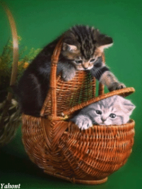 Мой Мир@Mail.Ru