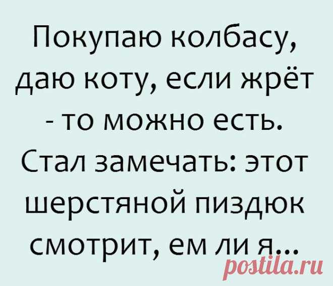 Искрометный юмор для тех, кто не любит грустить!