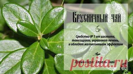Subscribe.Ru :: Информационный канал :: Подписчикам