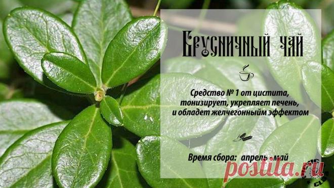 Subscribe.Ru :: Информационный канал :: Подписчикам