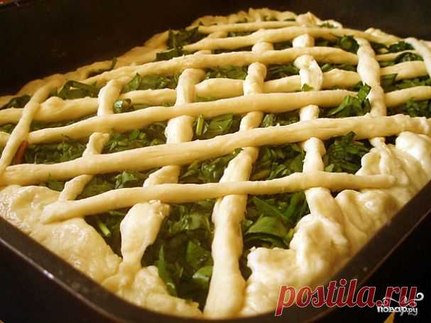 20 Вкусных рецептов со щавелем.