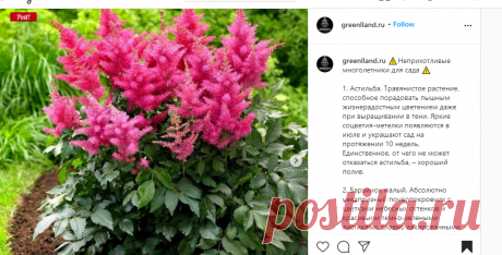 ЛАНДШАФТНЫЙ ДИЗАЙН on Instagram: “⚠️Неприхотливые многолетники для сада ⚠️ ⠀ 1. Астильба. Травянистое растение, способное порадовать пышным жизнерадостным цветением даже при…”
