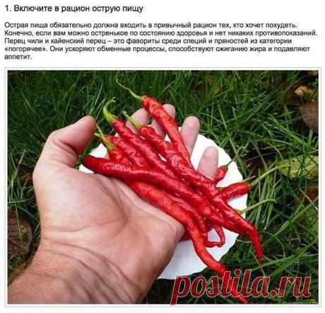 Полезные привычки здорового человека (10 фото) Возьмите на заметку! - Искусство здоровой жизни