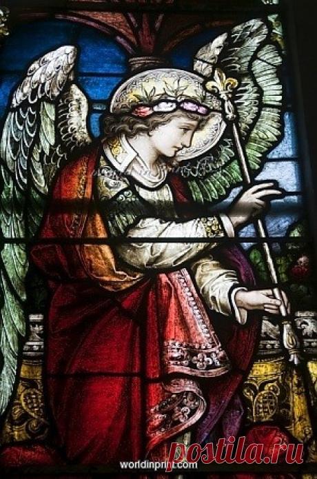 AMOR VINCIT OMNIA