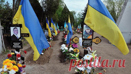Украинские реалии: ад в Кривом Роге - АНТИФАШИСТ