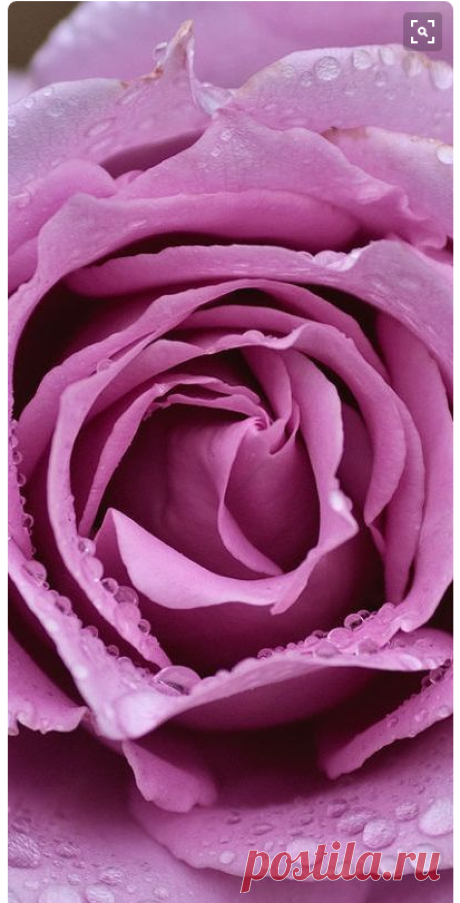(378) Pinterest • Всемирный каталог идей