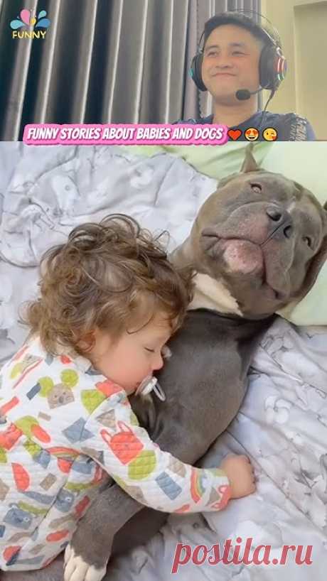 #60 Funny stories about babies and dogs for you #veryfunny #dog #love #baby