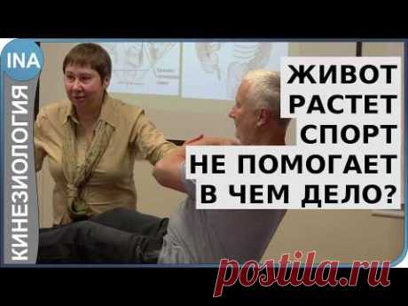 Живот растет. Спорт не помогает. В чем дело? Проф. Васильева. Обучение кинезиологии