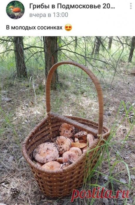 Безграмотные ошибки, к которым мы привыкаем