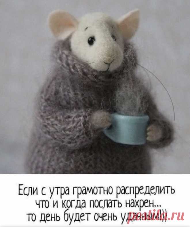 Zhanna on Twitter “))”