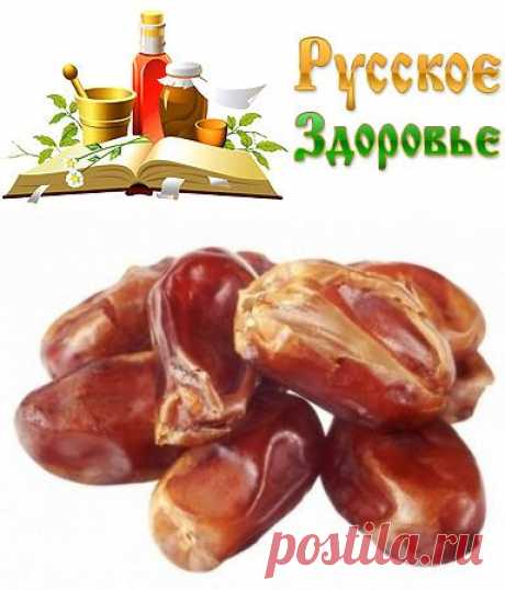 20 фактов о финиках