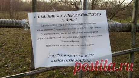 О Путине, о России, о городе, что нет красивей