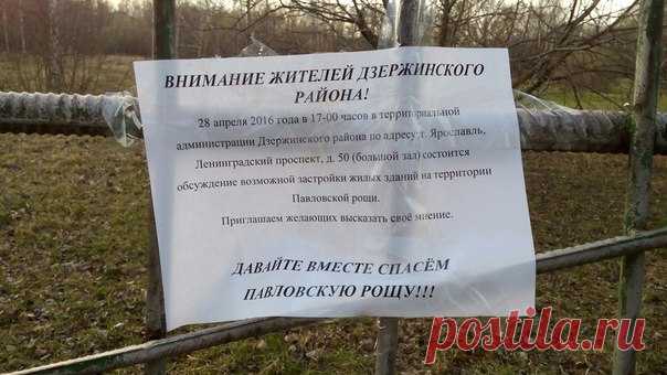 О Путине, о России, о городе, что нет красивей